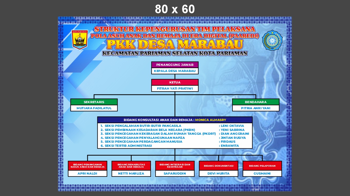 Struktur Kepengurusan Tim Pelakasana PAREDI